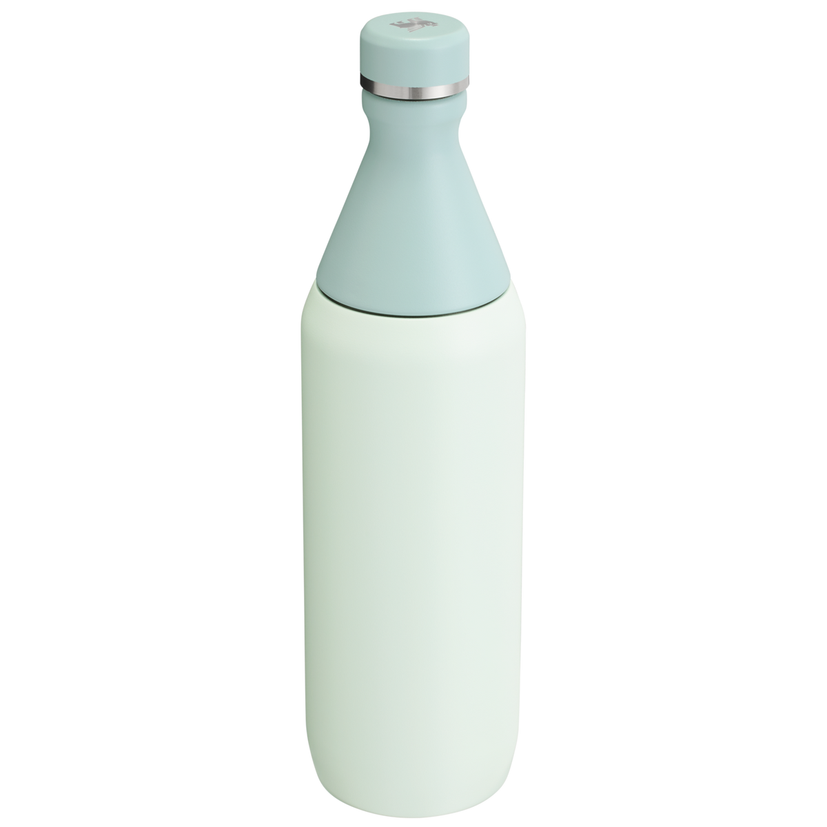 Stanley Leak Proof 20 OZ All Day Slim Bottle with removable collar in Mist