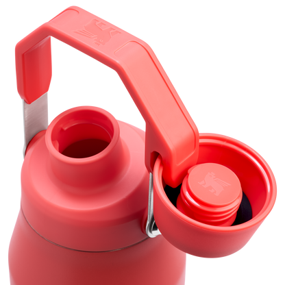 Stanley 36 oz Fast Flow Aerolight Water Bottle In Hot Coral Red
