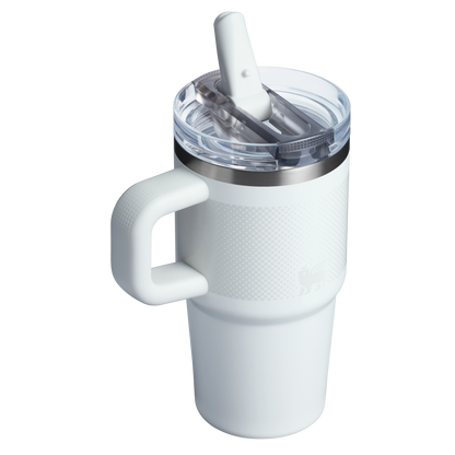 The Stanley Quencher ProTour Flip Straw Tumbler 20 OZ in Frost Fade