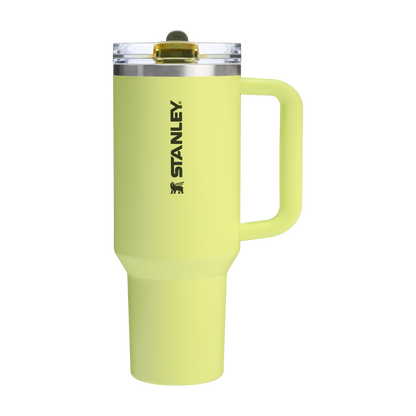 Stanley 40 OZ Quencher Flip Straw Tumbler With In Prickly Pear Green